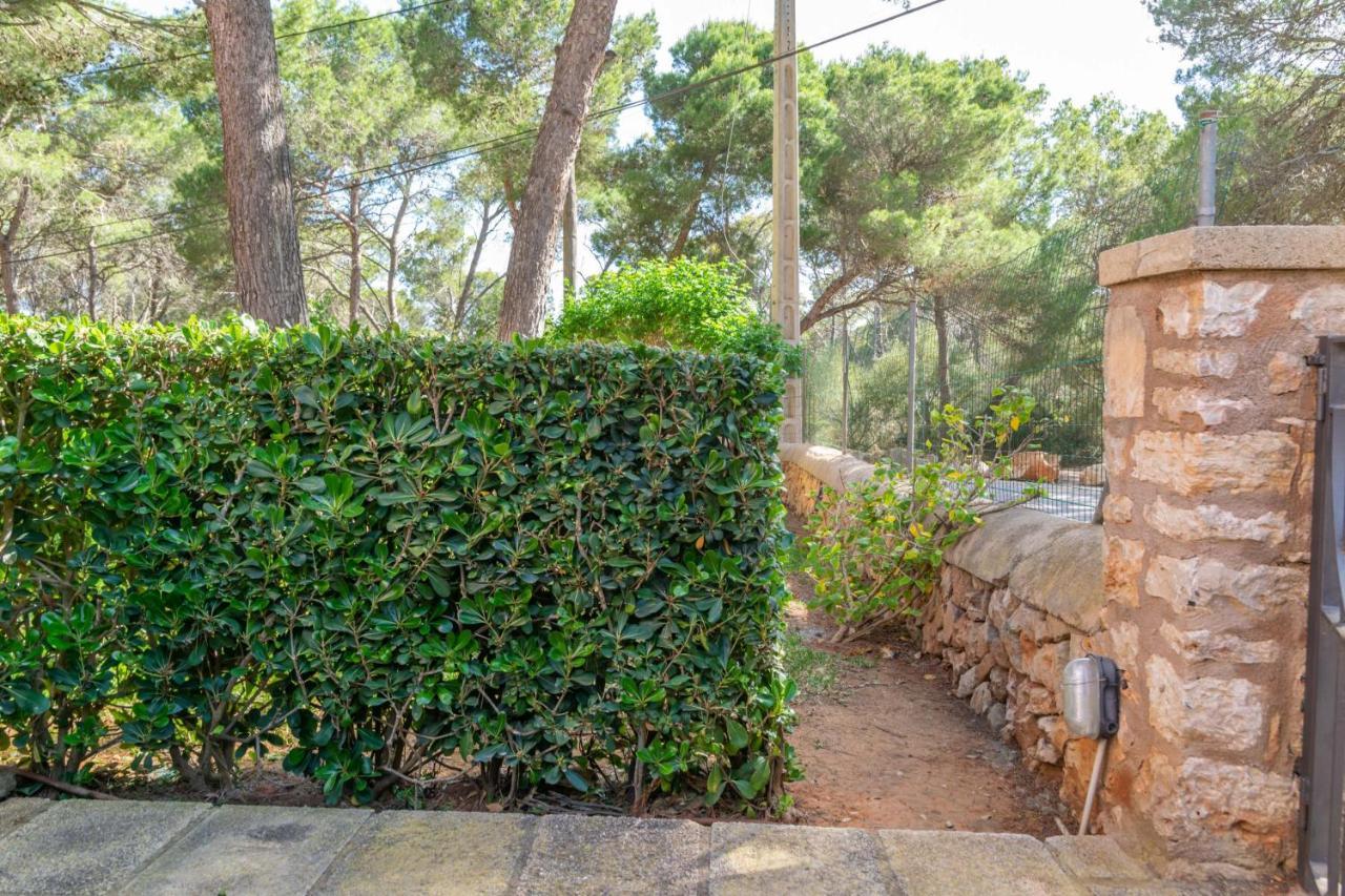 Barca Trencada Cala Mondrago (Mallorca)